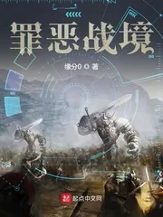 《罪恶战境》小说封面