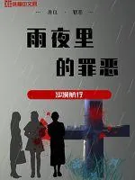 《雨夜里的罪恶》小说封面