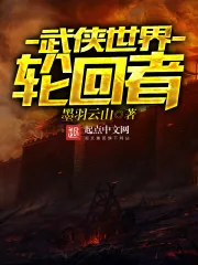 《武侠世界轮回者》小说封面