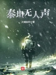 《泰坦无人声》小说封面