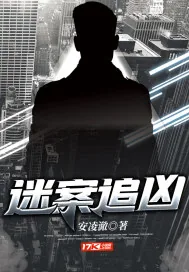 《迷案追凶》小说封面
