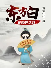 《东方白的身世之谜》小说封面