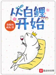 《从白鲤开始》小说封面