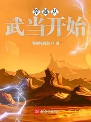 《穿越从武当开始》小说封面