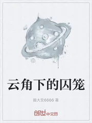 《云角下的囚笼》小说封面