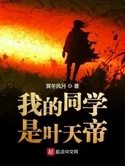 《我的同学是叶天帝》小说封面