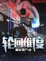 《轮回维度》小说封面