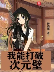 《我能打破次元壁》小说封面