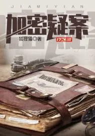 《加密疑案》小说封面