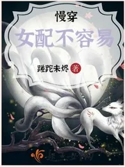 《慢穿女配不容易》小说封面