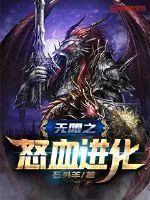 《无限之怒血进化》小说封面
