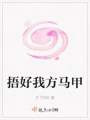 《捂好我方马甲》小说封面