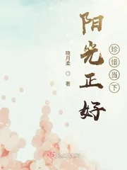 《阳光正好，珍惜当下》小说封面