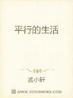 《平行的生活》小说封面