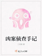 《凶案侦查手记》小说封面