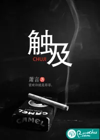 《触及》小说封面