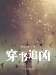 《穿书追凶》小说封面