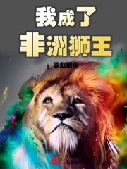 《我成了非洲狮王》小说封面