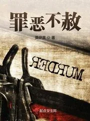 《罪恶不赦》小说封面