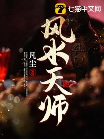 《风水天师》小说封面