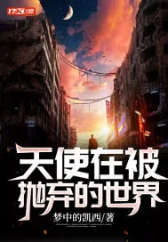 《天使在被抛弃的世界》小说封面