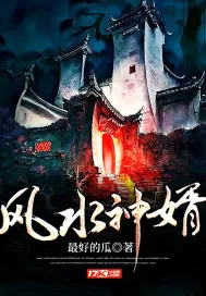 《风水神婿》小说封面