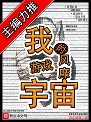 《我的游戏风靡宇宙》小说封面