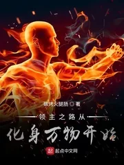 《领主之路从化身万物开始》小说封面
