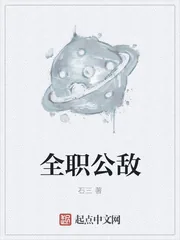 《全职公敌》小说封面