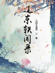 《辽东轶闻录》小说封面