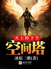 《天上掉下个空间塔》小说封面