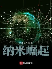 《纳米崛起》小说封面