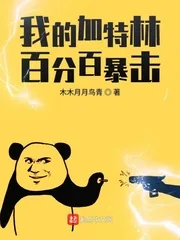 《我的加特林百分百暴击》小说封面