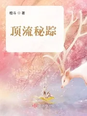 《顶流秘踪》小说封面