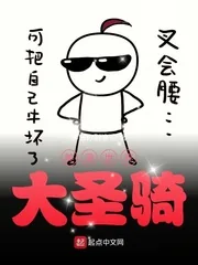 《美漫世界大圣骑》小说封面