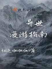《异世漫游指南》小说封面