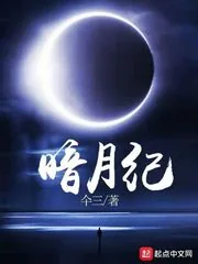 《暗月纪元》小说封面