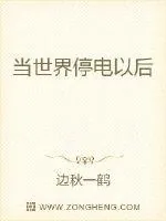 《当世界停电以后》小说封面