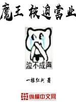 《魔王被迫营业》小说封面