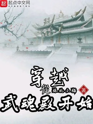 《穿越从武魂殿开始》小说封面