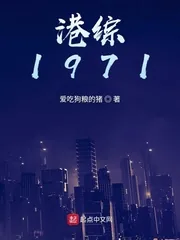 《港综1971》小说封面