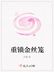 《重锁金丝笼》小说封面