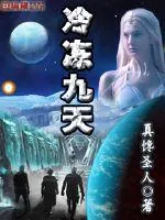 《冷冻九天》小说封面