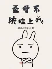 《圣母系统缠上我》小说封面