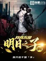 《我真不是明日之子啊》小说封面