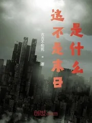《这不是末日是什么》小说封面