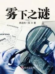 《雾下之谜》小说封面