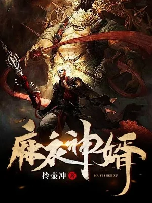 《麻衣神婿》小说封面
