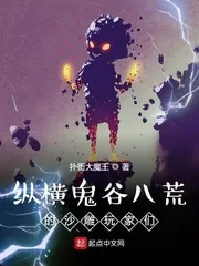 《纵横鬼谷八荒的沙雕玩家们》小说封面