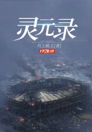 《灵元录》小说封面